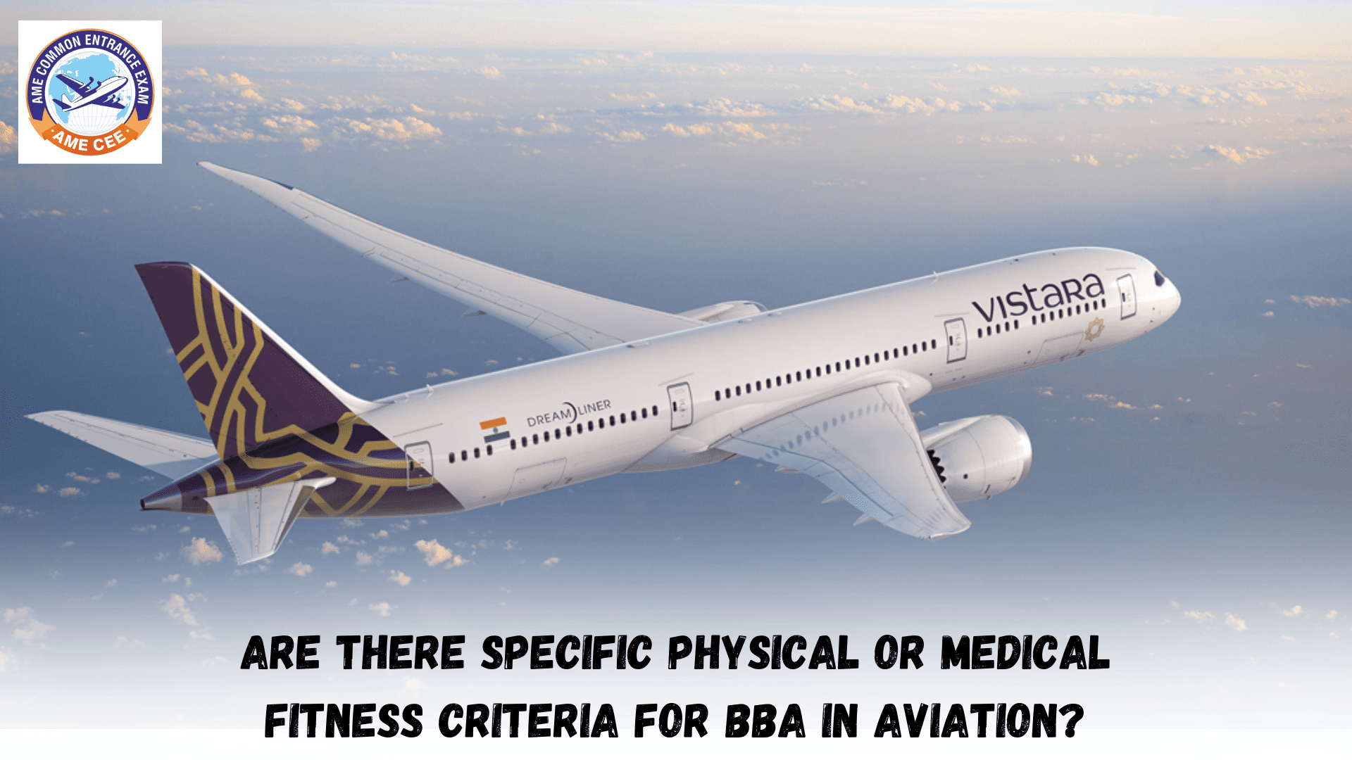 Are There Specific Physical Or Medical Fitness Criteria For BBA In Aviation?