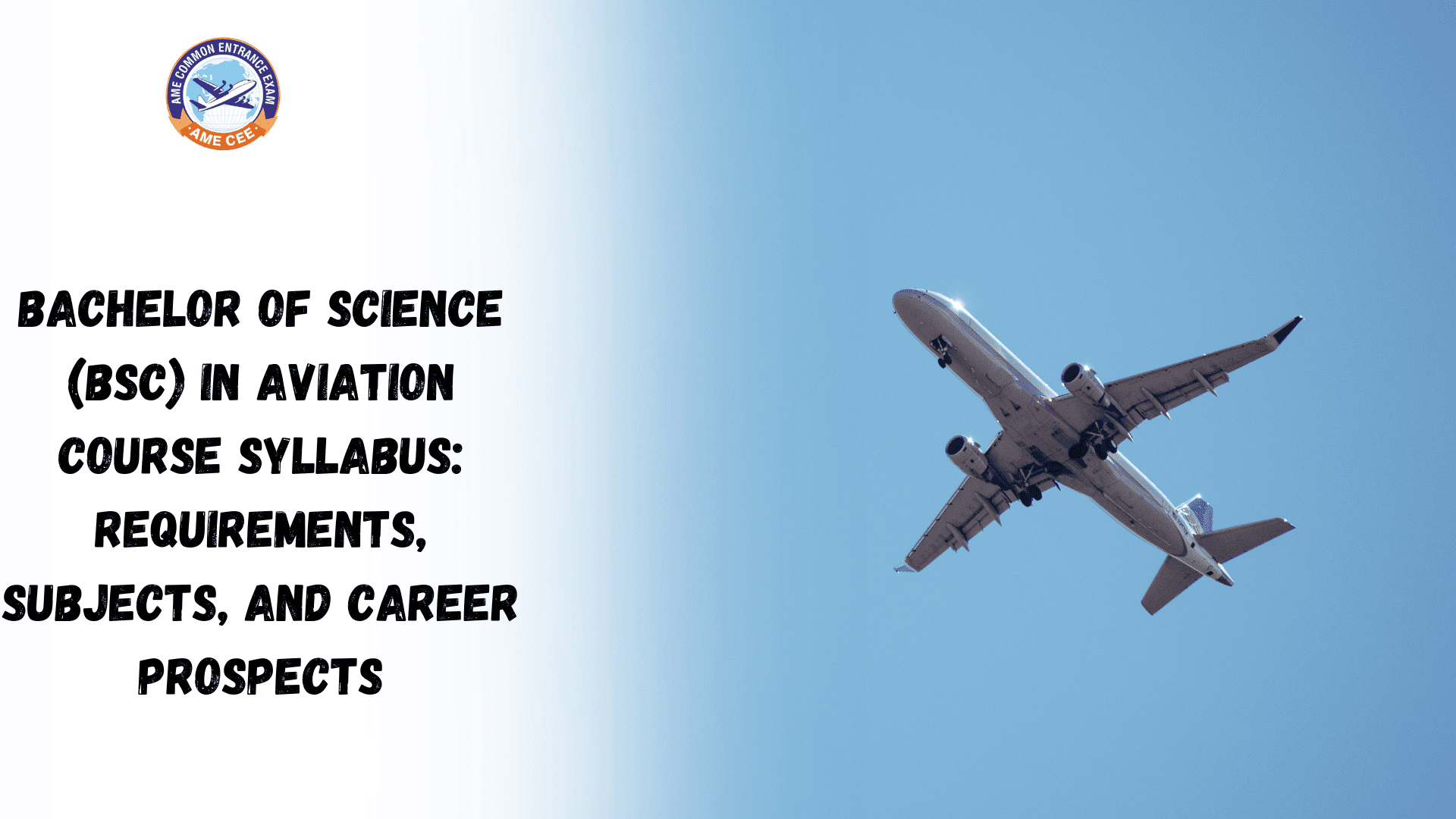 Bachelor of Science (BSc) in Aviation Course Syllabus: Requirements, Subjects, and Career Prospects