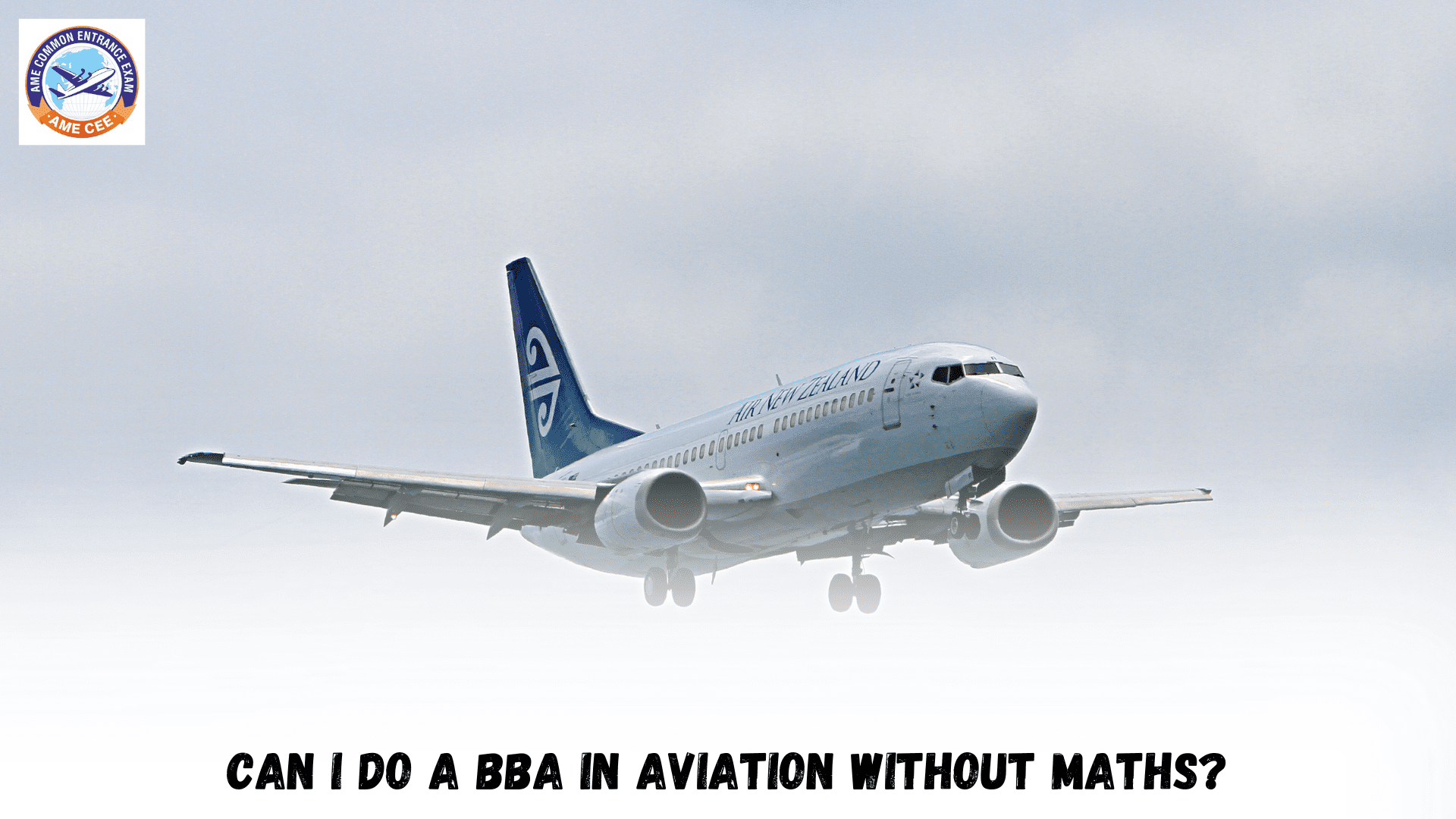 Can I Do A BBA In Aviation Without Maths