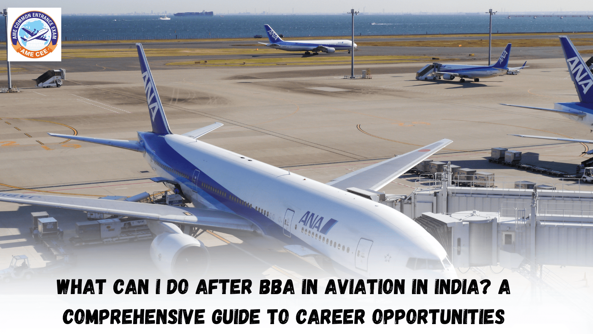 What Can I Do After BBA In Aviation In India A Comprehensive Guide To Career Opportunities