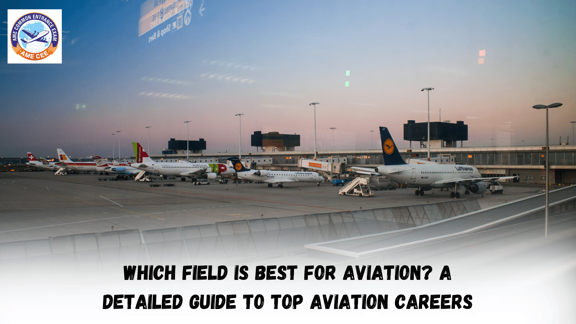 Which Field Is Best For Aviation A Detailed Guide To Top Aviation Careers